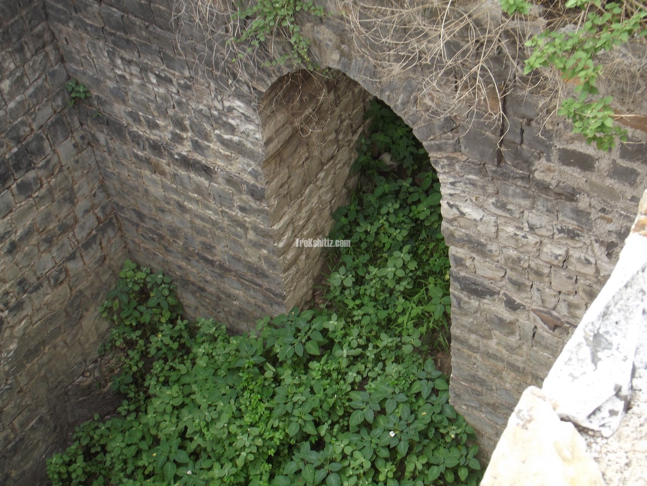 Dhotri Fort (Gadhi)